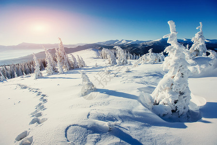 美丽的冬季风景和穿过山丘的长途跋涉图片
