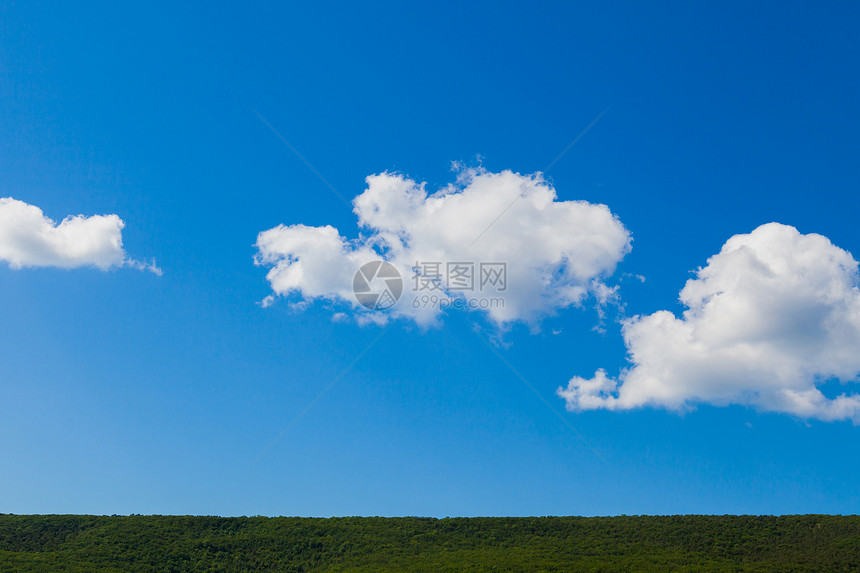 森林绿地和蓝天空图片