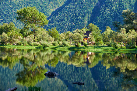 位于Altay山Chulyshman河口Telettskoye湖南端海湾岸边背景图片
