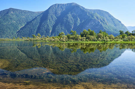 阿勒泰山脉Chulyshman河口捷列茨科耶湖南部的浅海湾背景图片