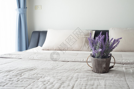 花盆上挂着紫色熏衣草花的床卧室窗户图片