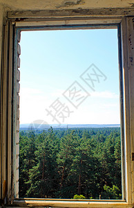 透过废弃房屋的窗框欣赏森林景观图片