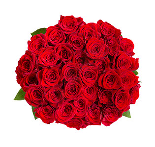 白色的美丽的红玫瑰花束被图片