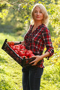 拥有一盒传世西红柿的塑料盒的妇女图片