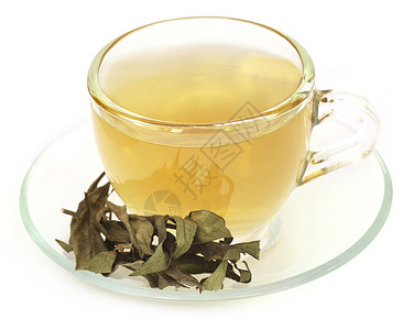阿育吠陀药用Chirata杯中的凉茶图片