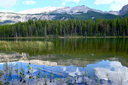加拿大洛基斯的蜜月湖加拿大艾伯塔州贾图片