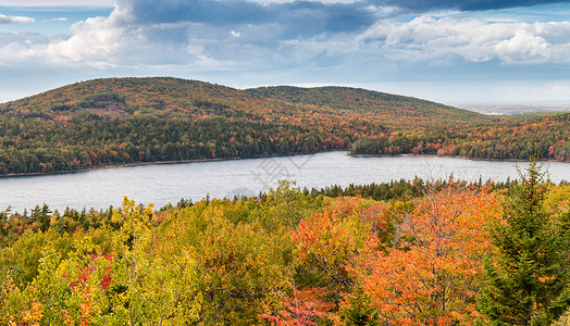 秋季新英格兰树叶场景的壮丽景色背景图片