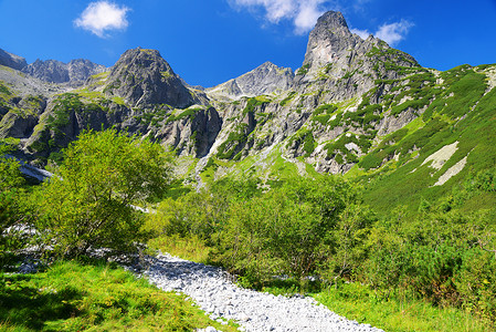 斯洛伐克塔特拉山高原DolinaZelenehoP图片