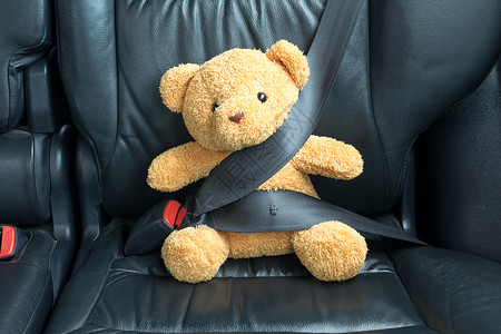固定在汽车后座上的泰迪熊图片