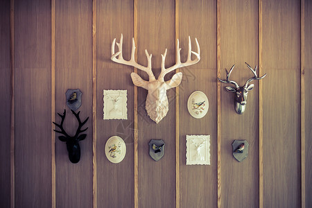 木墙上的室内头鹿模型图片