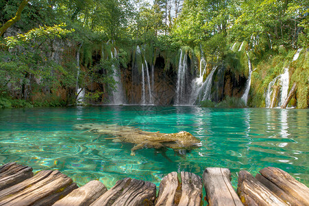 克罗地亚十六湖绿松石水瀑布图片