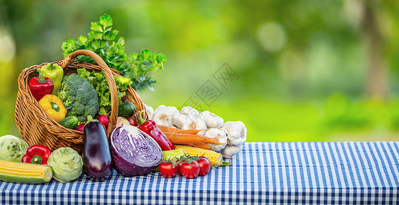 蔬菜背景花园桌子上的新鲜混合蔬菜各种样的图片