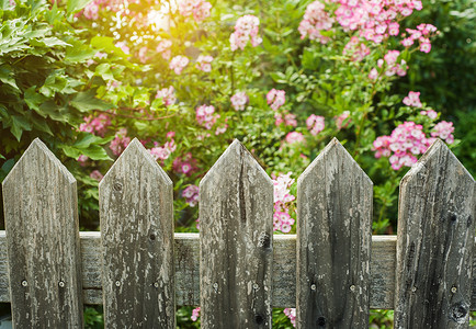 县风木栅栏和阳光明媚的花园图片