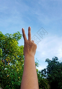 一只手在蓝天和树上做和平标志图片