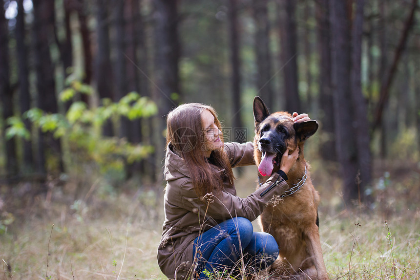 有吸引力的年轻女子在秋季公园和德国牧羊犬在户外玩耍图片