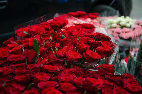鲜花和美丽的红玫瑰在Prazniki生日情人节等图片