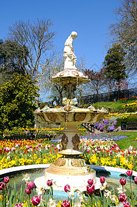 采石场公园丁格尔正式花园的石喷泉被郁金香和春天的花朵包围图片
