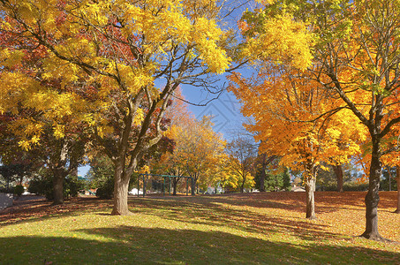 秋天公共园的颜色Gres图片