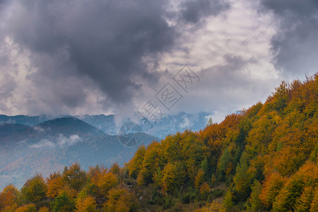 山上秋天的风景美丽的树叶图片