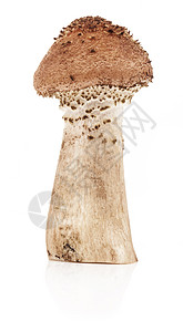 蘑菇蜂蜜花粉阿图片
