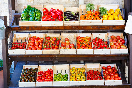 来自地中海农贸市场的有机新鲜不同西红柿健康的当地食品市场西红柿品种图片