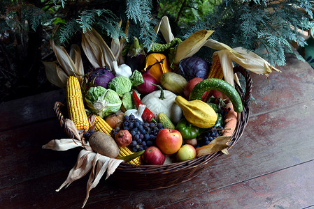 有机食品蔬菜篮子收获图片