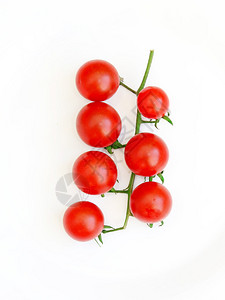 红西番茄的新树枝索拉努姆淋巴素在图片