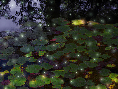 神秘来袭夏日夜晚的萤火虫和百合荚背景