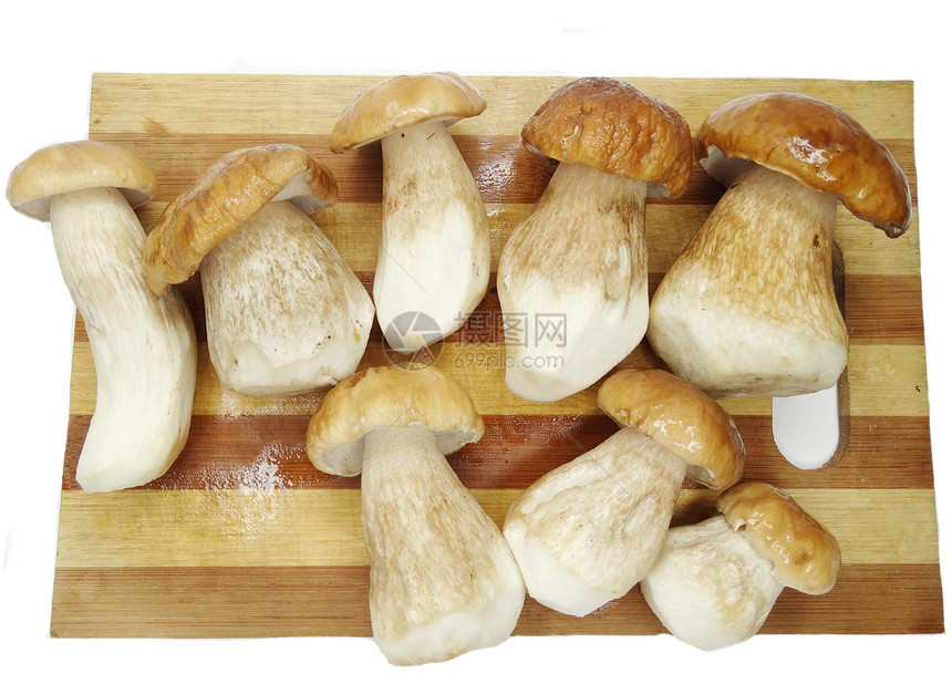 砧板上的新鲜食用森林蘑菇图片