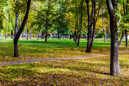 五彩缤纷的秋季公园的美丽景色阳光灿烂的日子图片