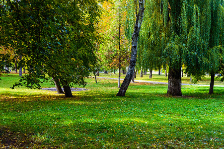 五彩缤纷的秋季公园的美丽景色阳光灿烂的日子图片