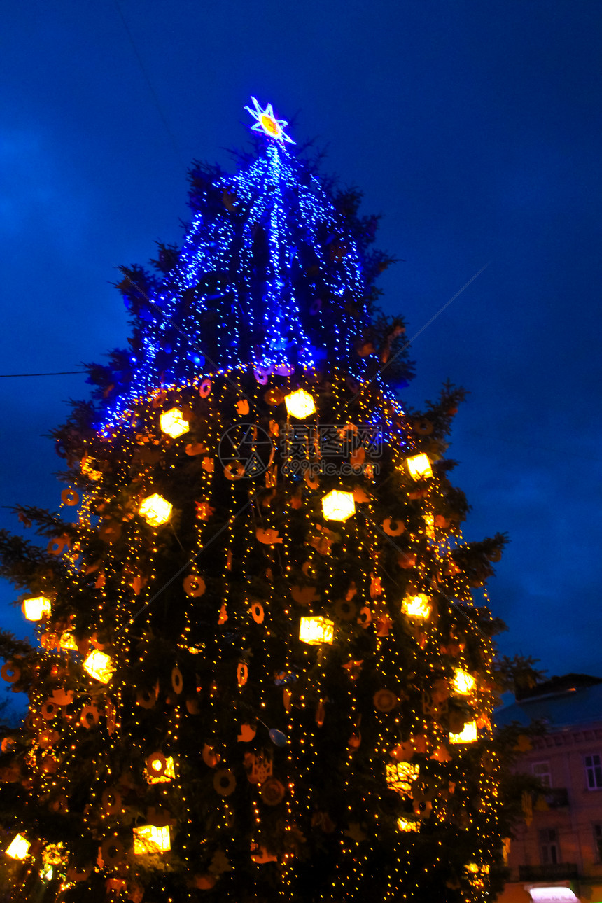 乌克兰利沃夫晚上的圣诞树图片