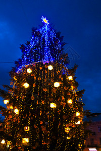 乌克兰利沃夫晚上的圣诞树图片