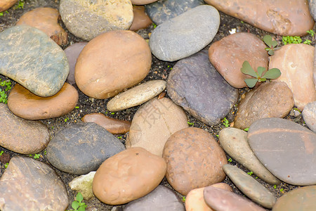 多块石头用来装饰花园的日式风格图片