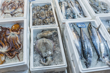 Noryangjin渔业批发市场分布广泛的批发和零售市场背景图片