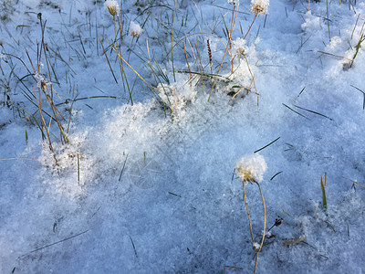 秋天的自然第一场雪落了图片