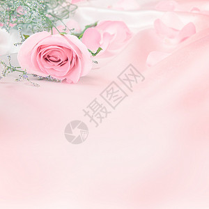温柔甜蜜的玫瑰花为图片