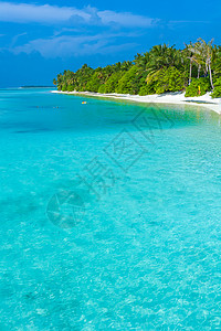 马尔代夫印度洋热带岛屿的海岸图片