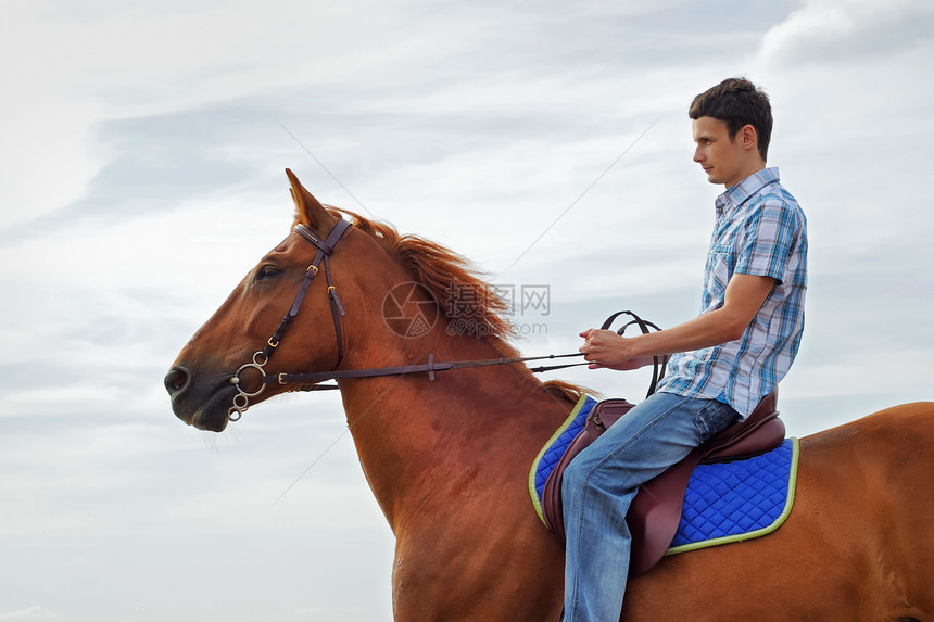 骑在一匹棕色马上的人图片