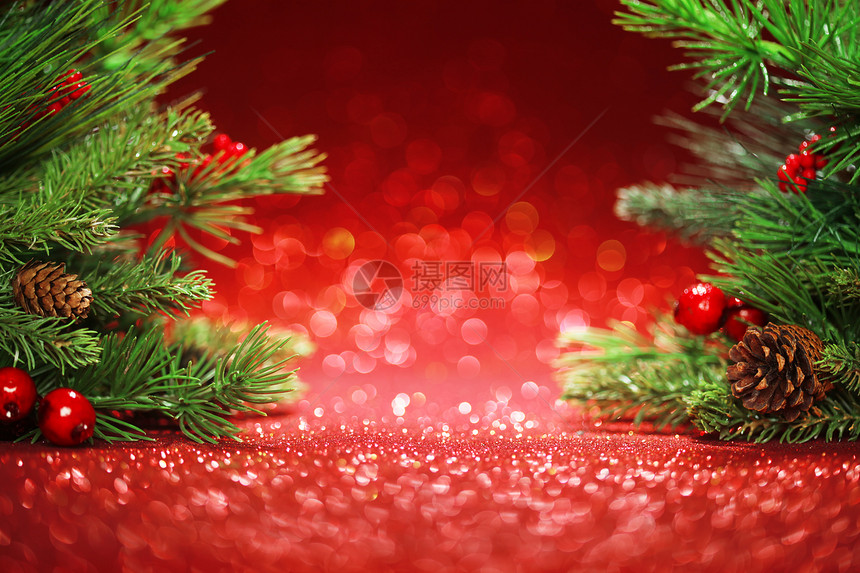 圣诞树枝红色的图片