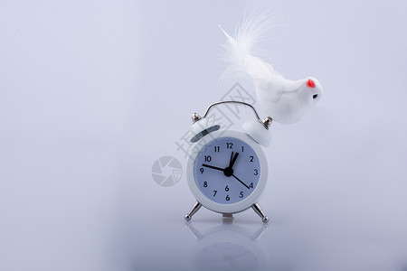 白色背景上的假鸟白色闹钟图片