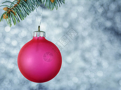 圣诞球和圣诞树枝图片