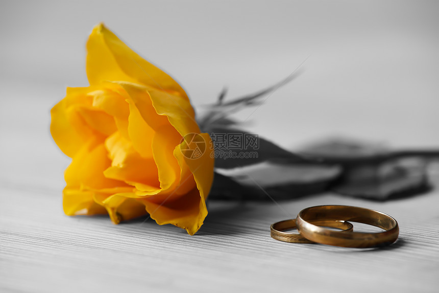 黄玫瑰和结婚戒图片