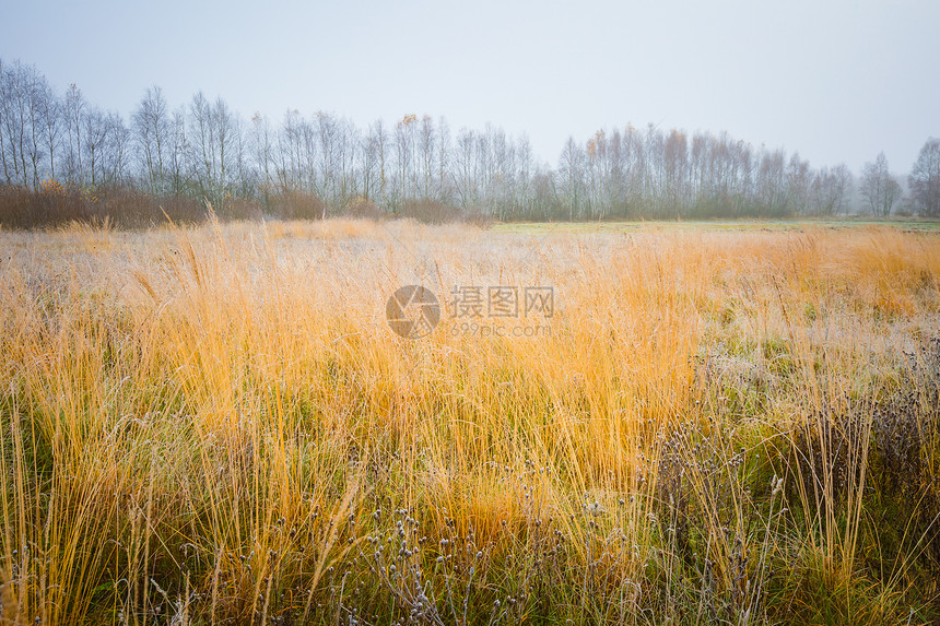 寒冷的早晨风景冬初风景图片