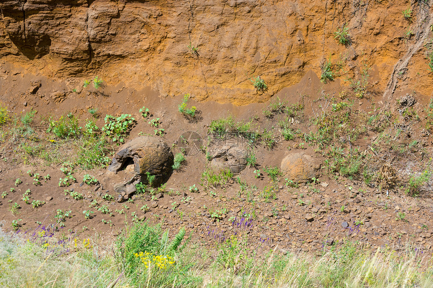 在俄罗斯伏尔加格勒地区WetOlhovkaKotovo区村庄附近发现了类似峡谷的恐龙蛋图片