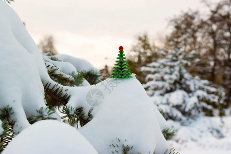 冬天风景背上的小雪玩具圣诞树啊图片