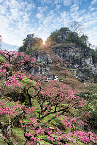 广东省高远原县地势平坦地区的PeachB背景图片