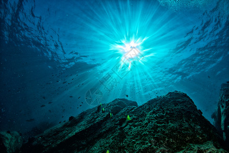 科特兹海面丰富多彩的珊瑚礁水下风景图片