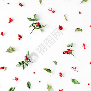 白色平面顶部风景圣诞背景壁纸上最起码有创意的浆果安排图片