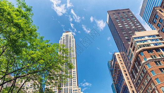 纽约市大楼曼哈顿第图片